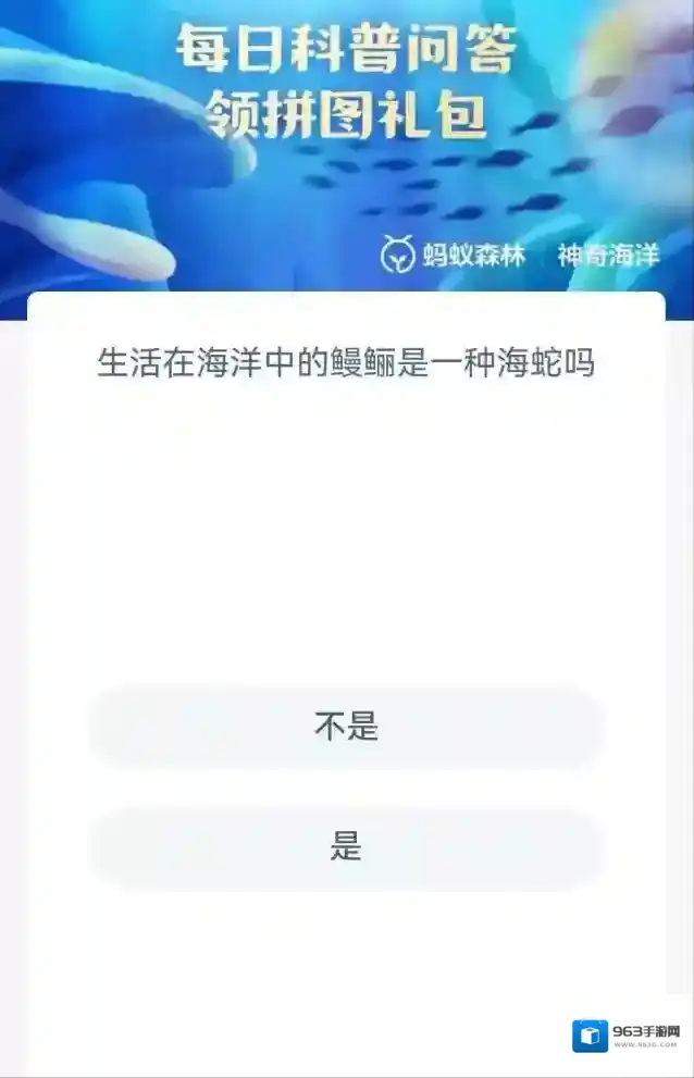 支付宝体长