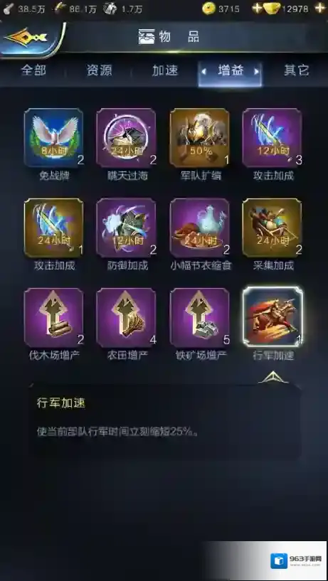 乱世王者物品