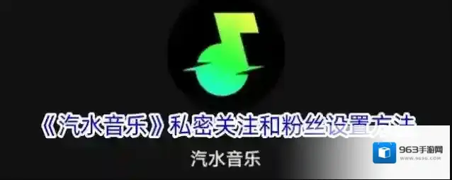 《汽水音乐》私密关注和粉丝设置方法