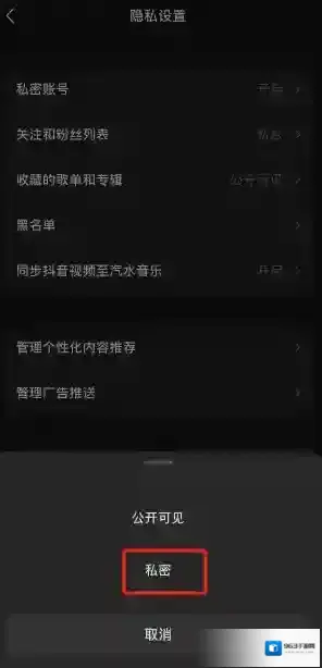 汽水音乐设置