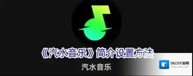 《汽水音乐》简介设置方法